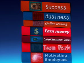 MILANSPORT入口-中国篮球职业联赛经济效益提升路径及风险管理，中国篮球职业联赛的看法