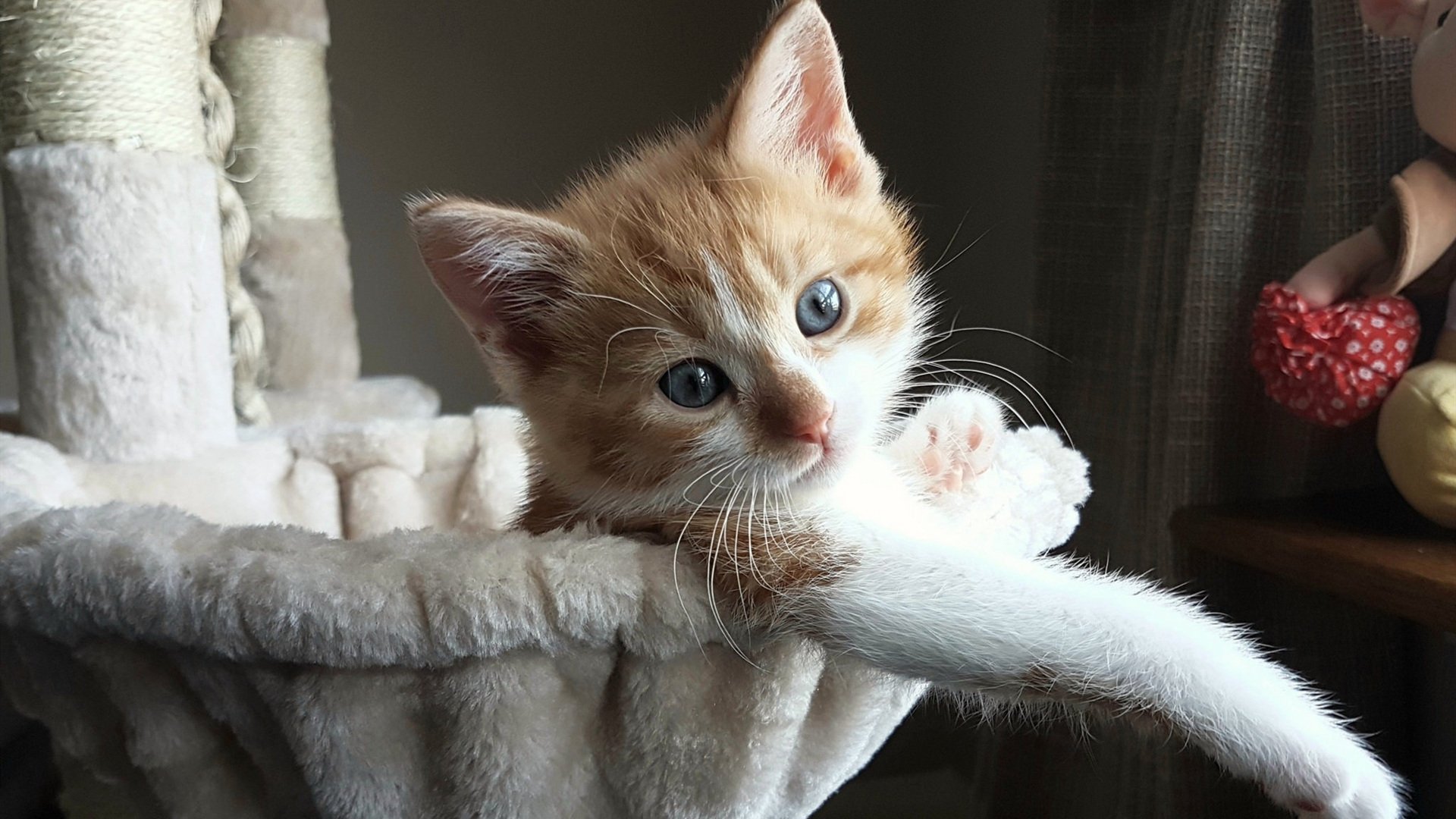 争冠路上的“爆冷”奇迹:一些意料之外的胜利