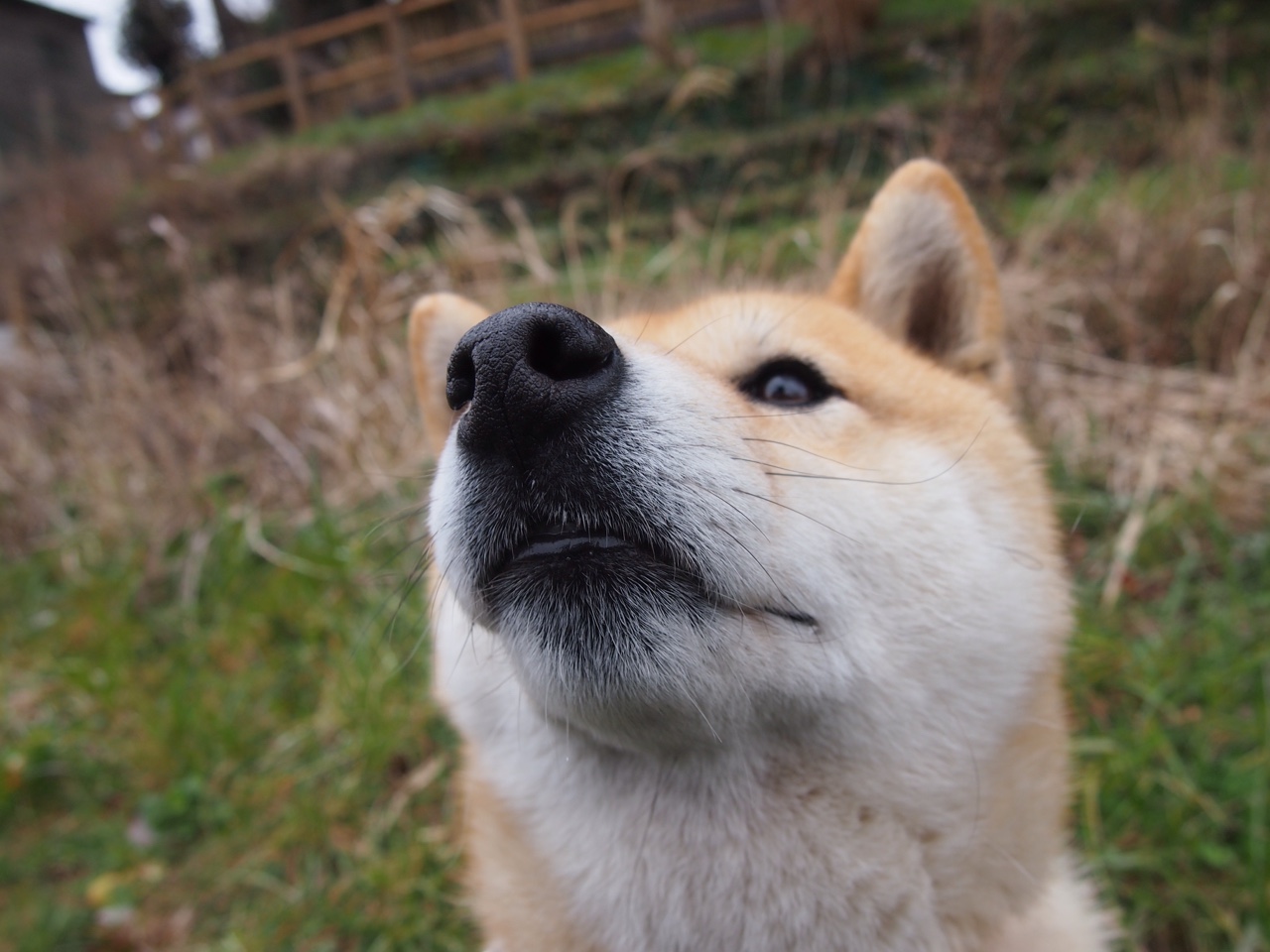 “宽板滑水:东三叉湖赛场展现速度与技术的完美结合”