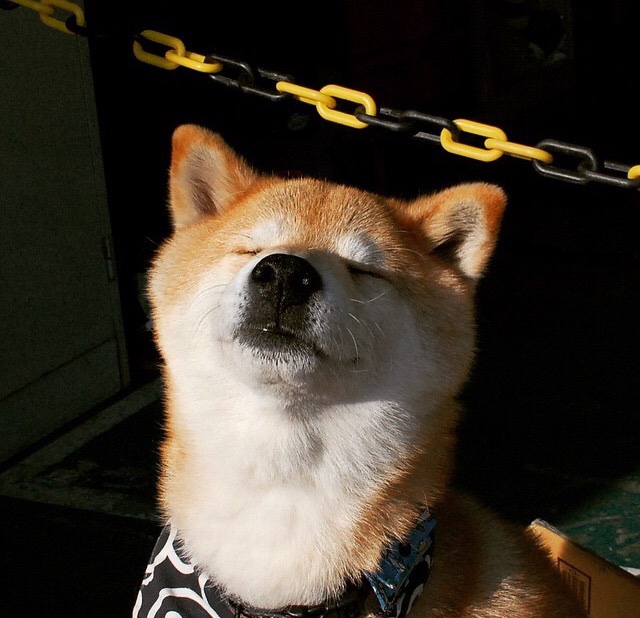 世界杯中国青年队战败 球迷鼓励保持信心，中国青少年足球世界杯