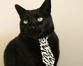 米兰体育-中国男篮体能储备显著增强，中国男篮体育