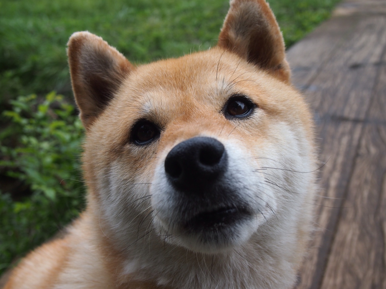 米兰体育APP-体育新闻中心主办数字体育传播创新奖评选活动，体育产业数字化创新