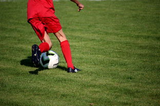 米兰体育官网-体育新闻中心发布体育短视频内容运营新策略，体育短视频存在的问题