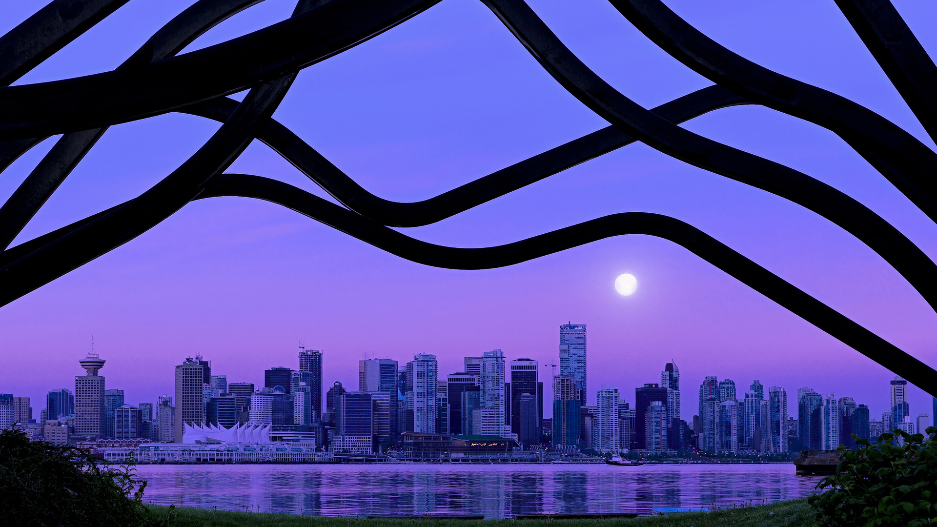 新疆男篮加大球员康复投入保障健康出战，新疆男篮官宣