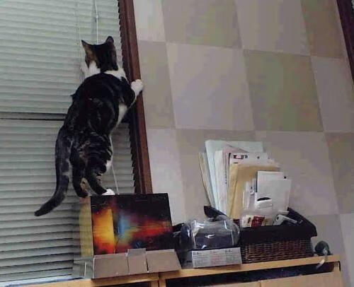 曼联边后卫助攻积极提升攻势层次，曼联边路球员