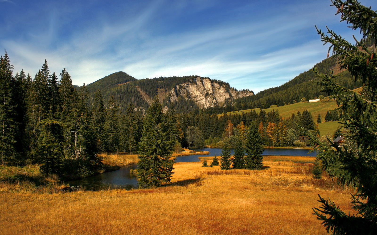 本菲卡队长展现领袖气质稳定军心，本菲卡强吗