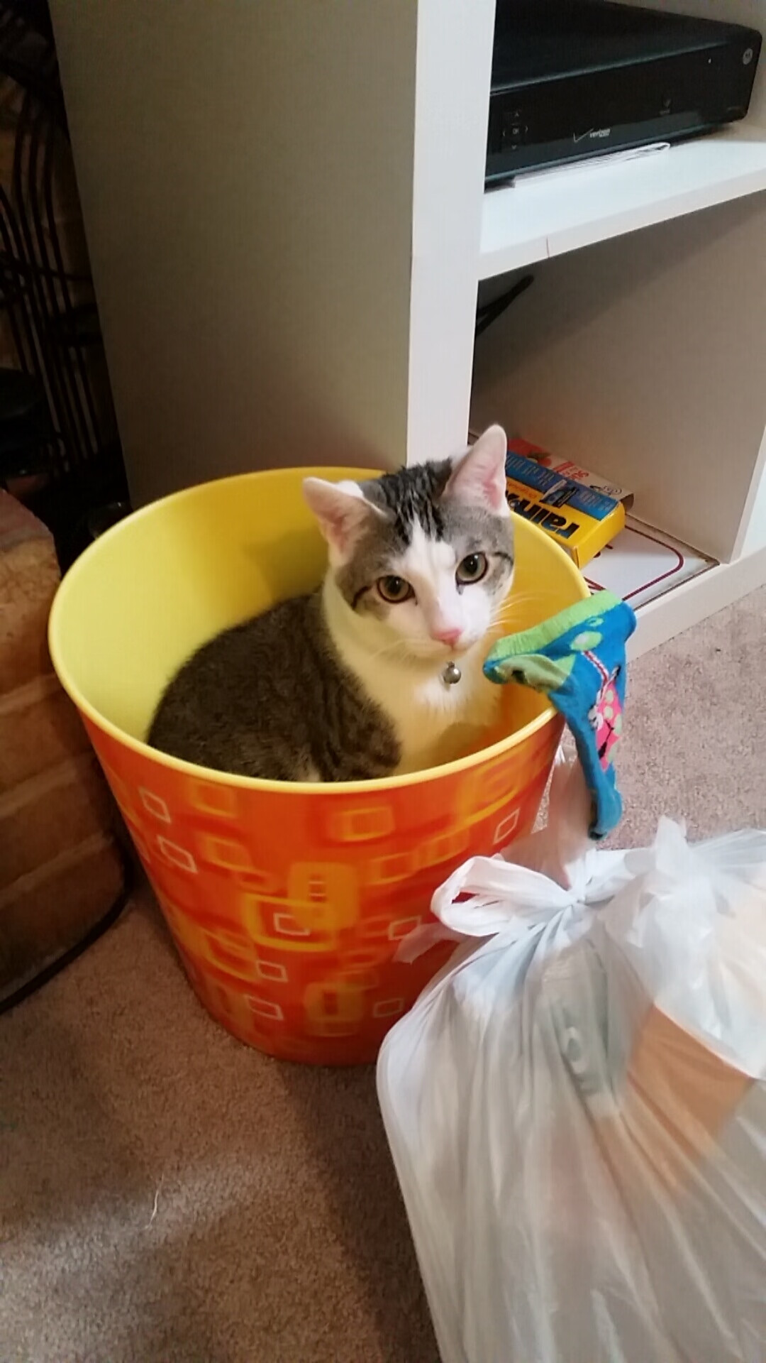 AC米兰-球队节奏建立是否依赖特定球员风格，nba球队节奏