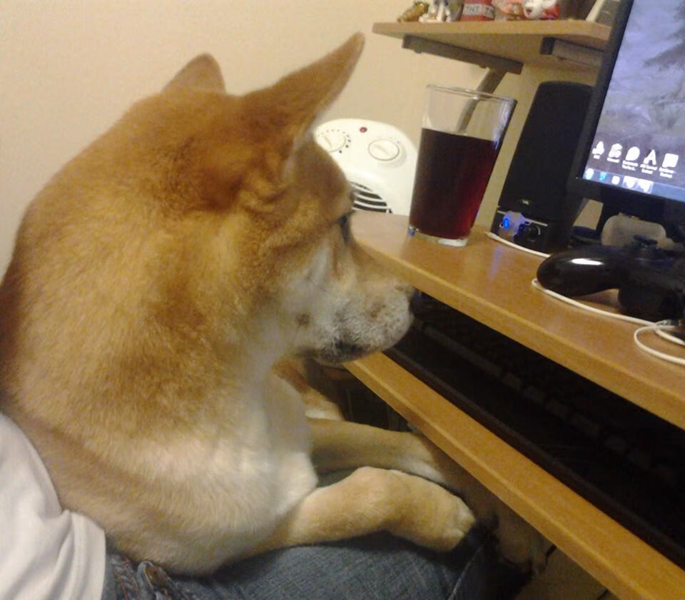 Milan Sports-职业球员伤病康复机制是否足够专业，足球运动员康复