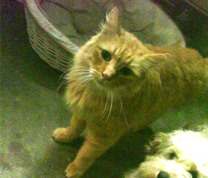 马龙参加公益活动 呼吁关注青少年心理健康,马龙宣传视频