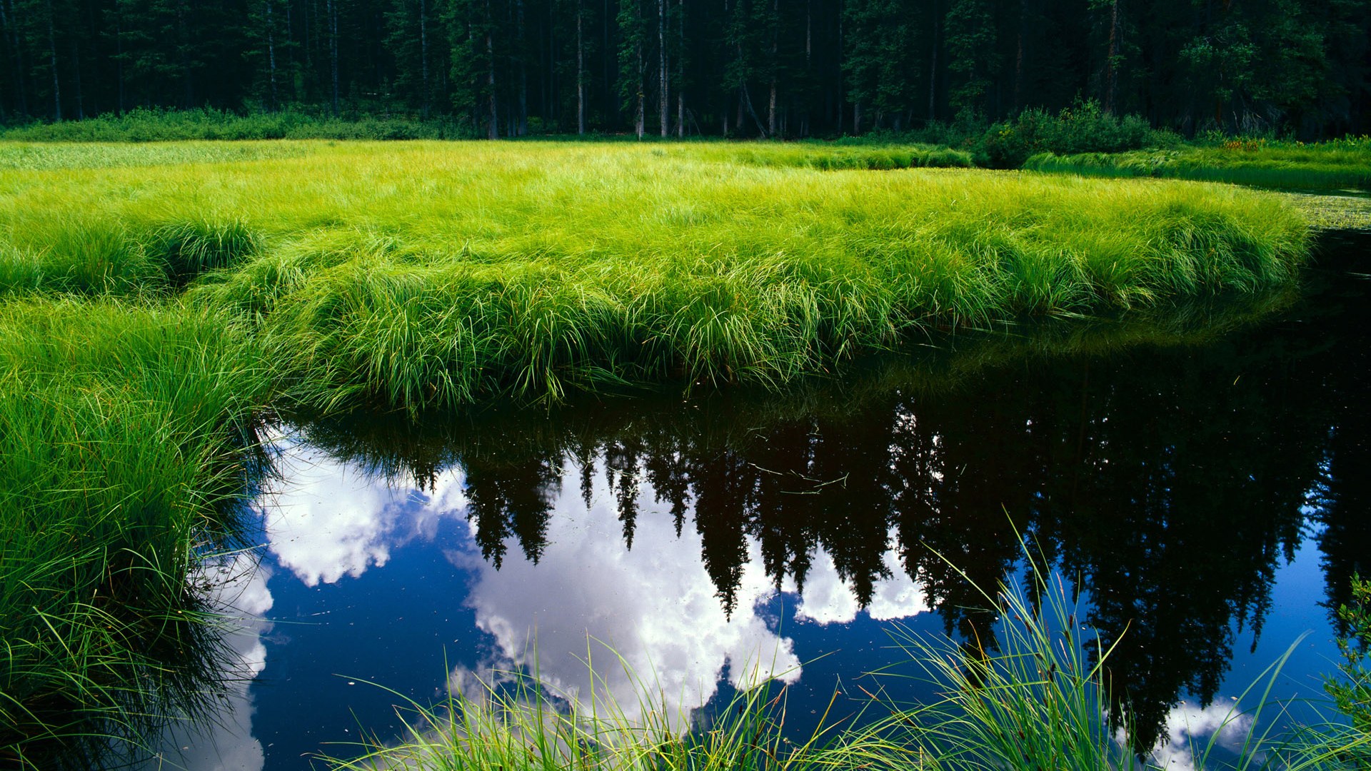 中超观赛体验升级多地试点智能场馆运营方案,中超赛场地址