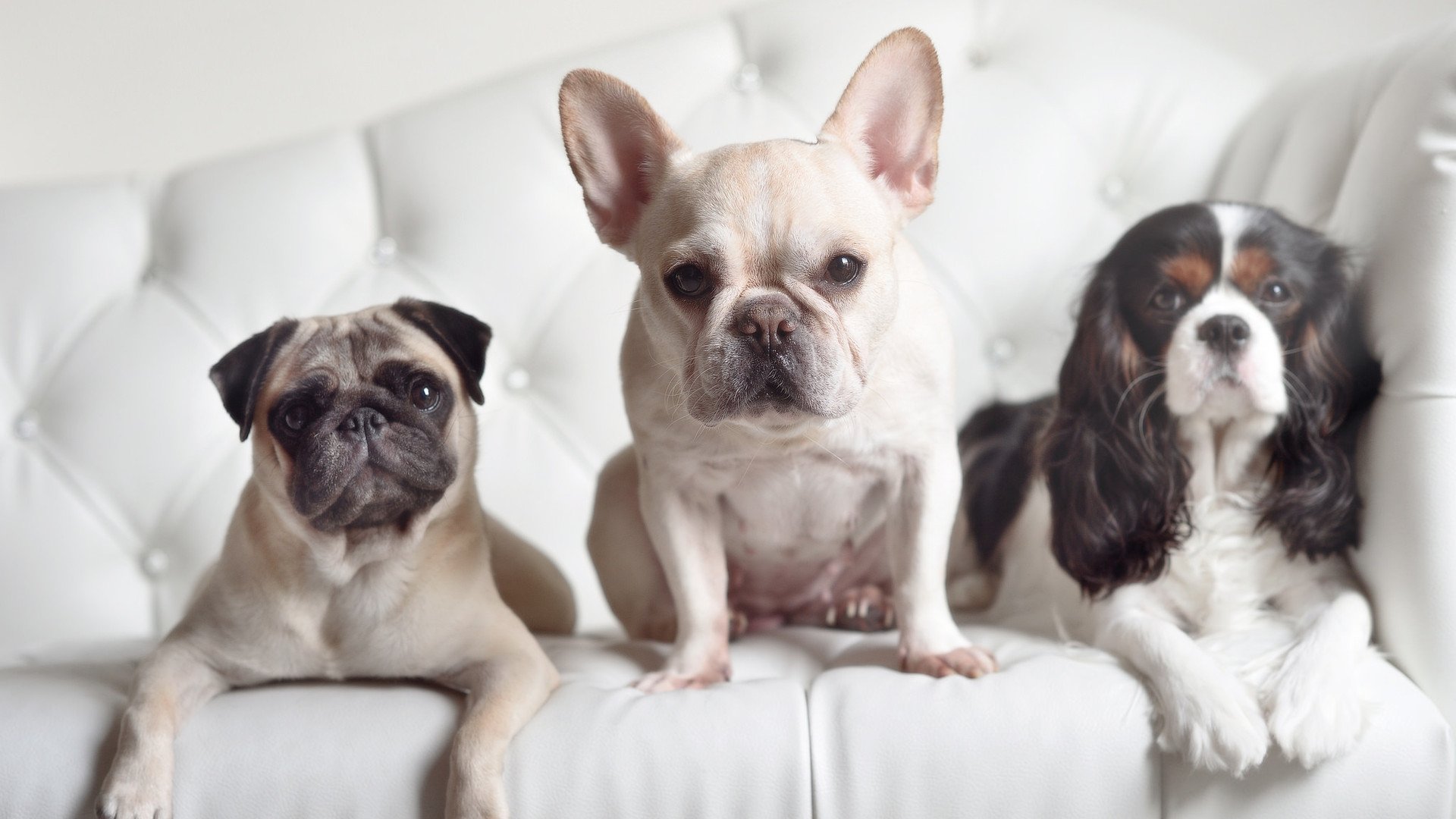 米兰登录入口-媒体聚焦关键先生连续多场决定比赛走向展现核心价值，nba关键先生英文