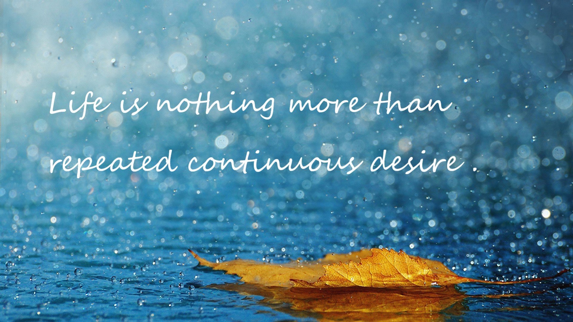 未来场馆实现全场环境智能调控,绿色科技引领行业新风尚,场馆智能化设计方案