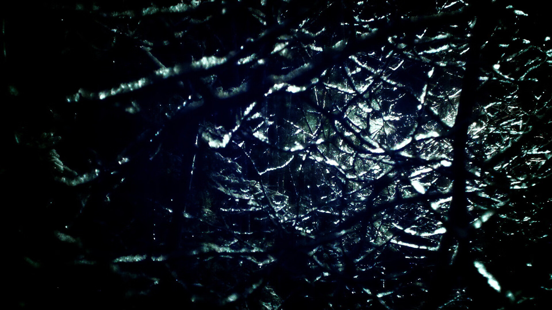 米兰登录入口-格林伍德的稳健防守与精准反击，为袋鼠队注入进攻活力，格林伍德什么水平