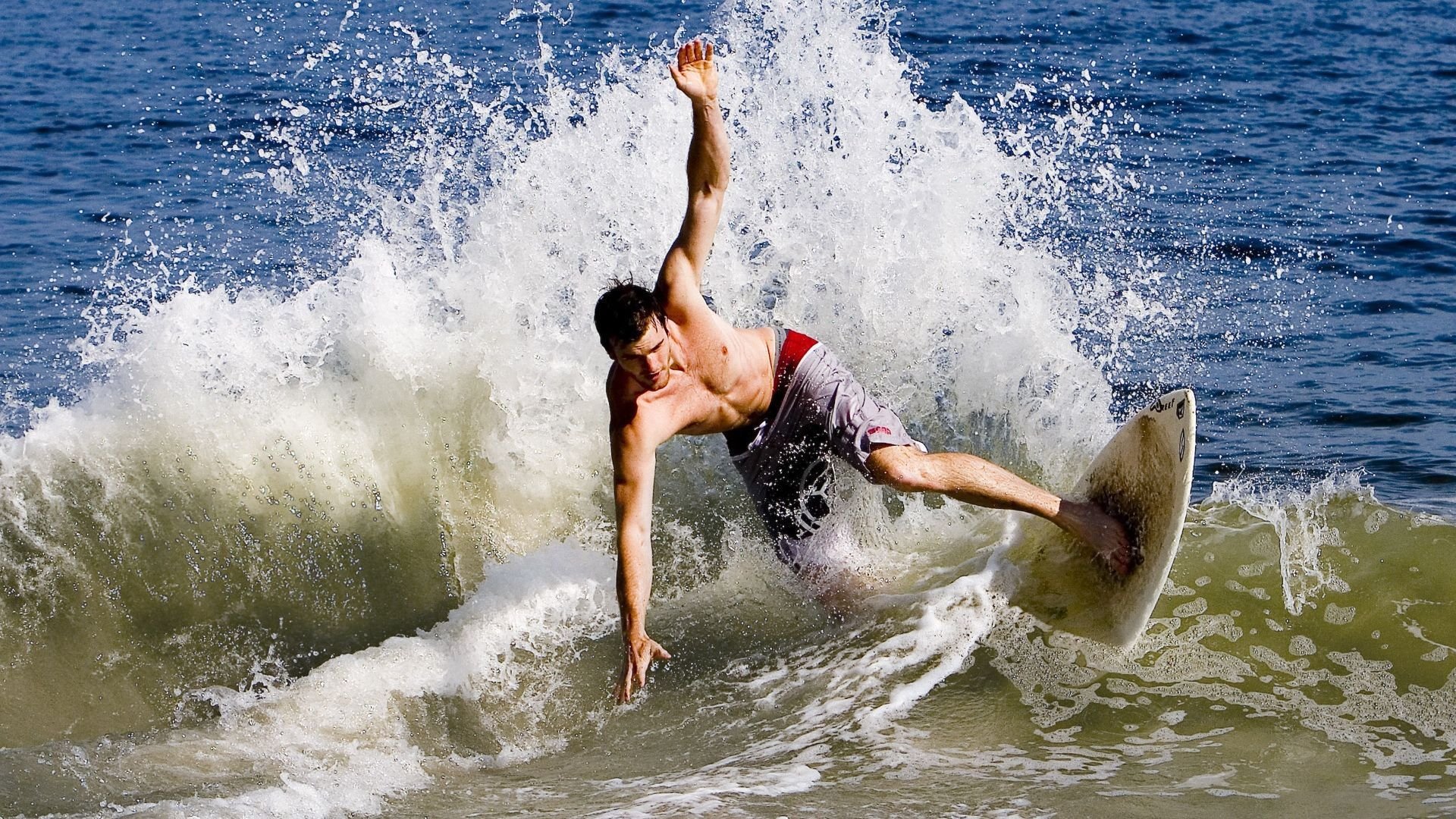 2026体育明星焦点表现，最新体育明星